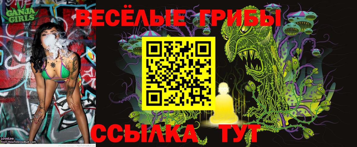 Псилоцибиновые грибы MAGIC MUSHROOMS Туапсе