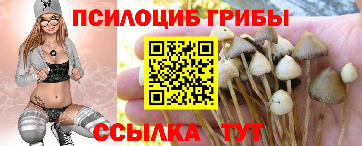 Туапсе  купить наркотик  Вход с VPN  Галлюциногенные грибы мухоморы 